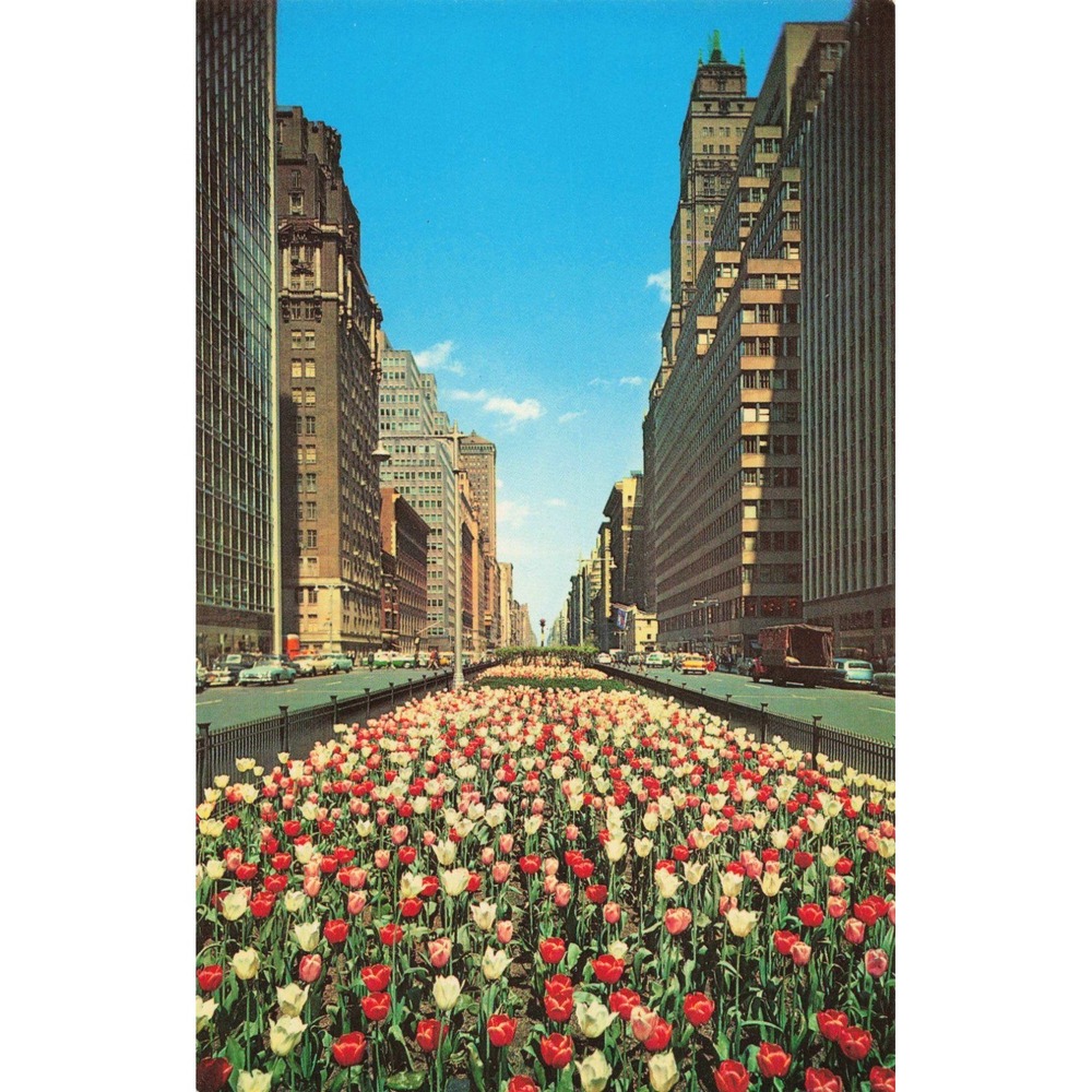 Vintage Park Avenue NYC Postcard Tulips Skyscrapers Progressive Publications K73